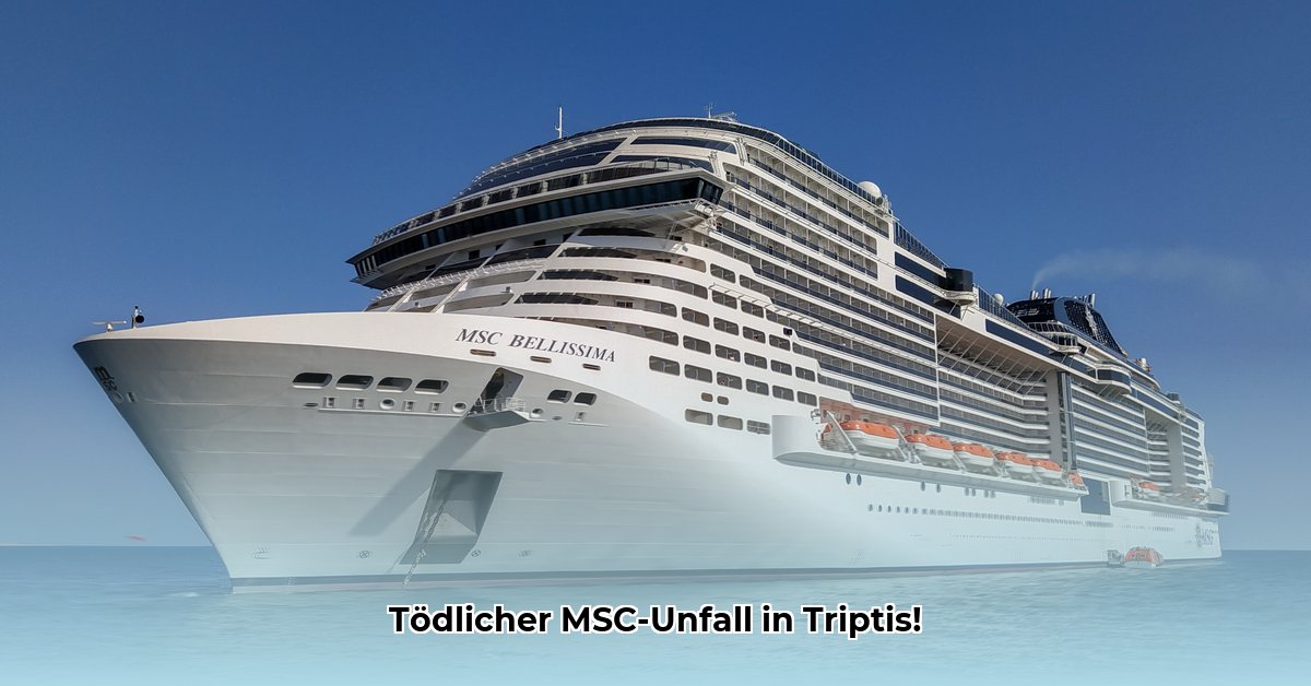 msc-triptis-unfall